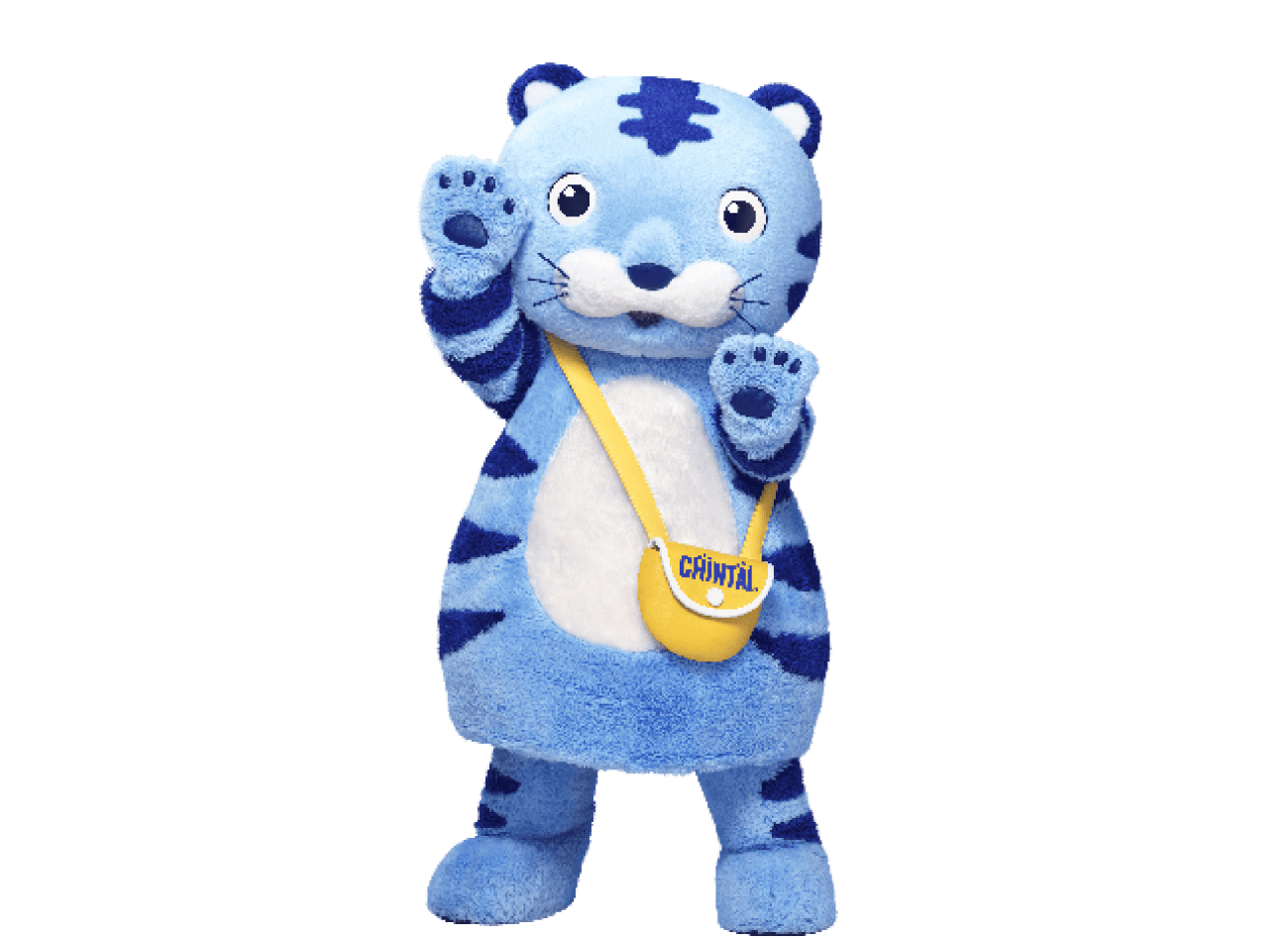 チンタイガーキャラクター